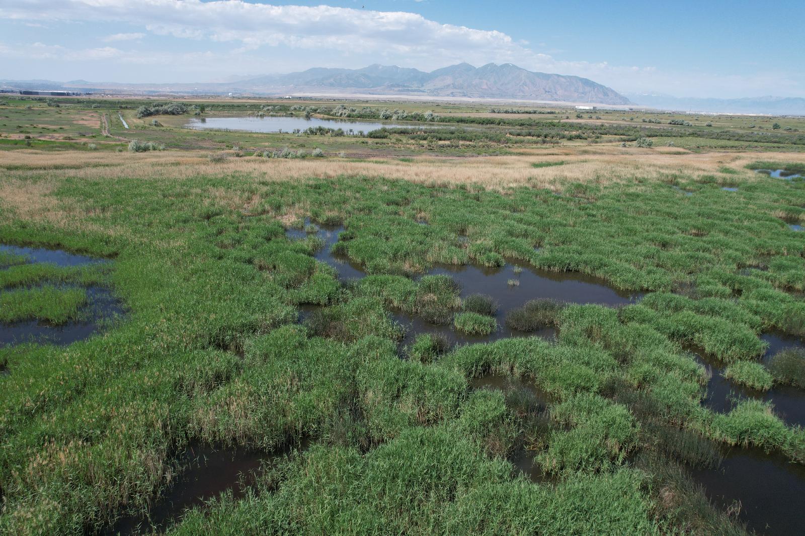 field site