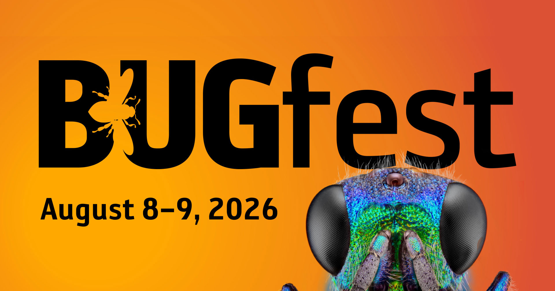 bug fest banner