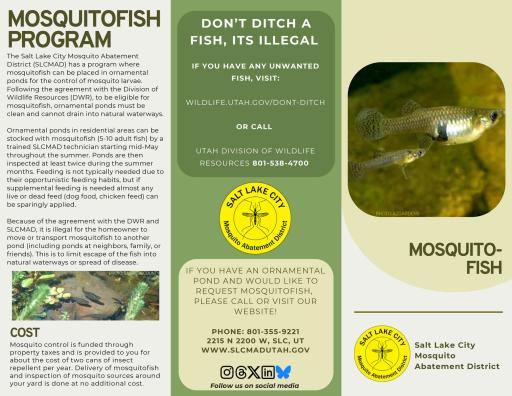 Mosquitofish Brochure
