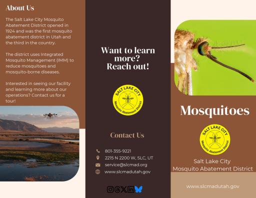 Mosquito Facts Brochure